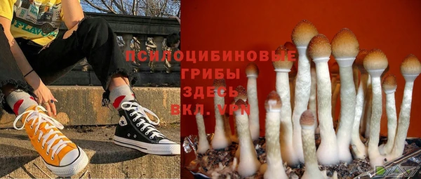 СК Бугульма