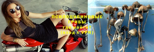 mdpv Бронницы
